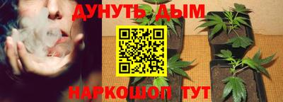 крисы Рыбинск