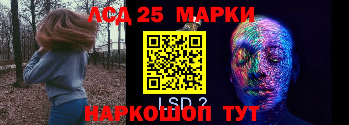 LSD-25 экстази ecstasy  Вход с VPN  Новозыбков  Лсд 25 экстази  Лсд 25 экстази ecstasy 