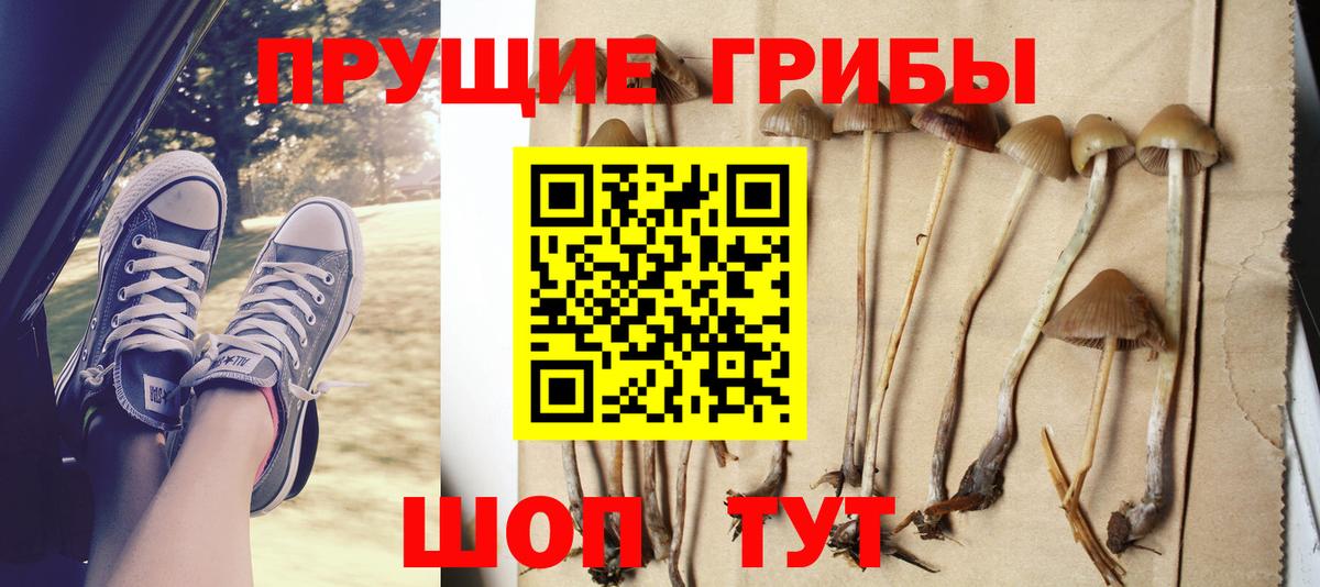Галлюциногенные грибы мицелий Новозыбков