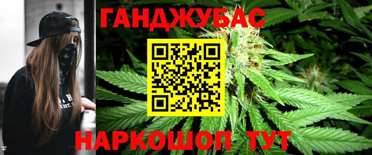 Бошки Шишки семена Новозыбков